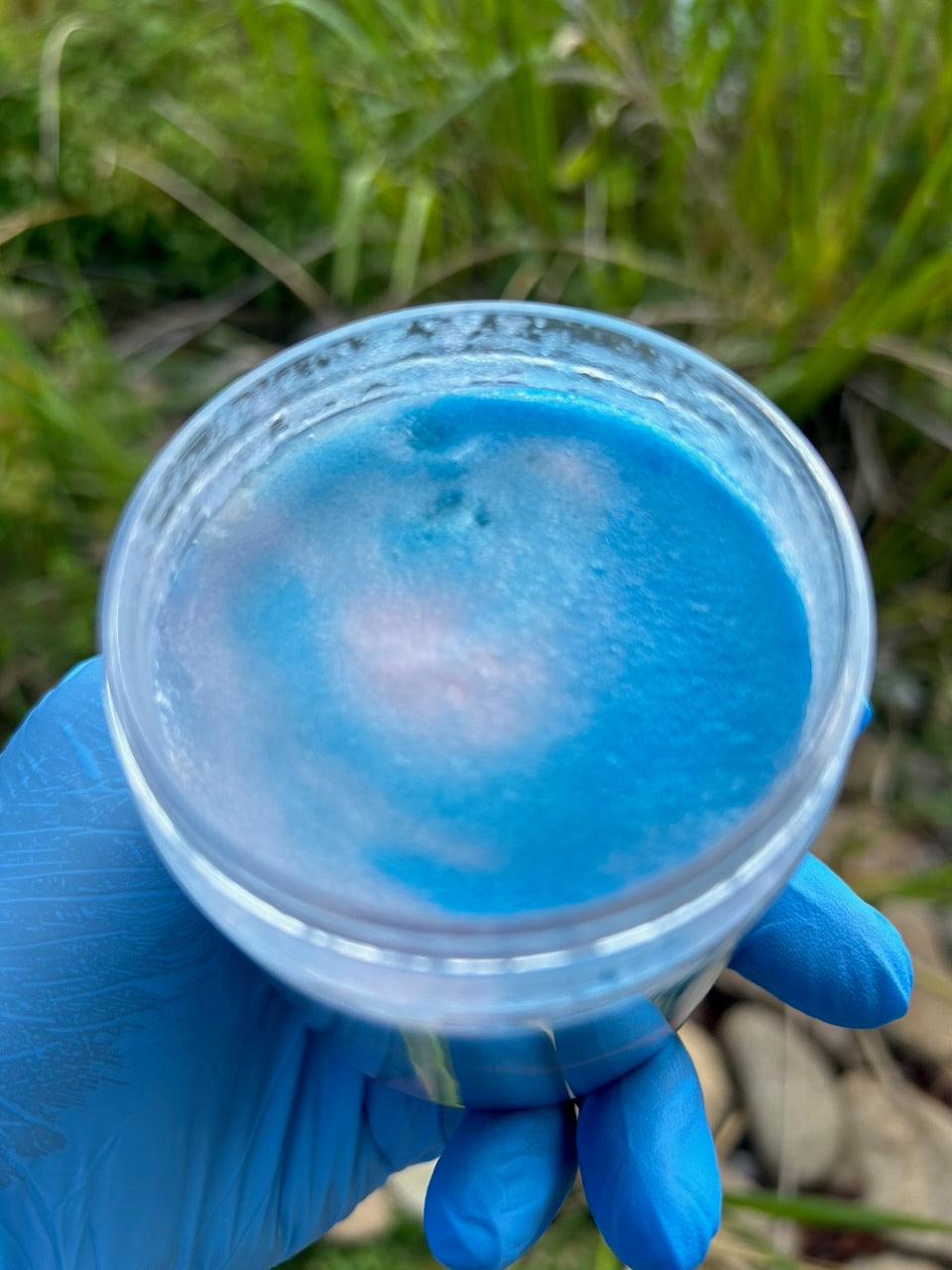 Our cotton candy scrub, inside packet